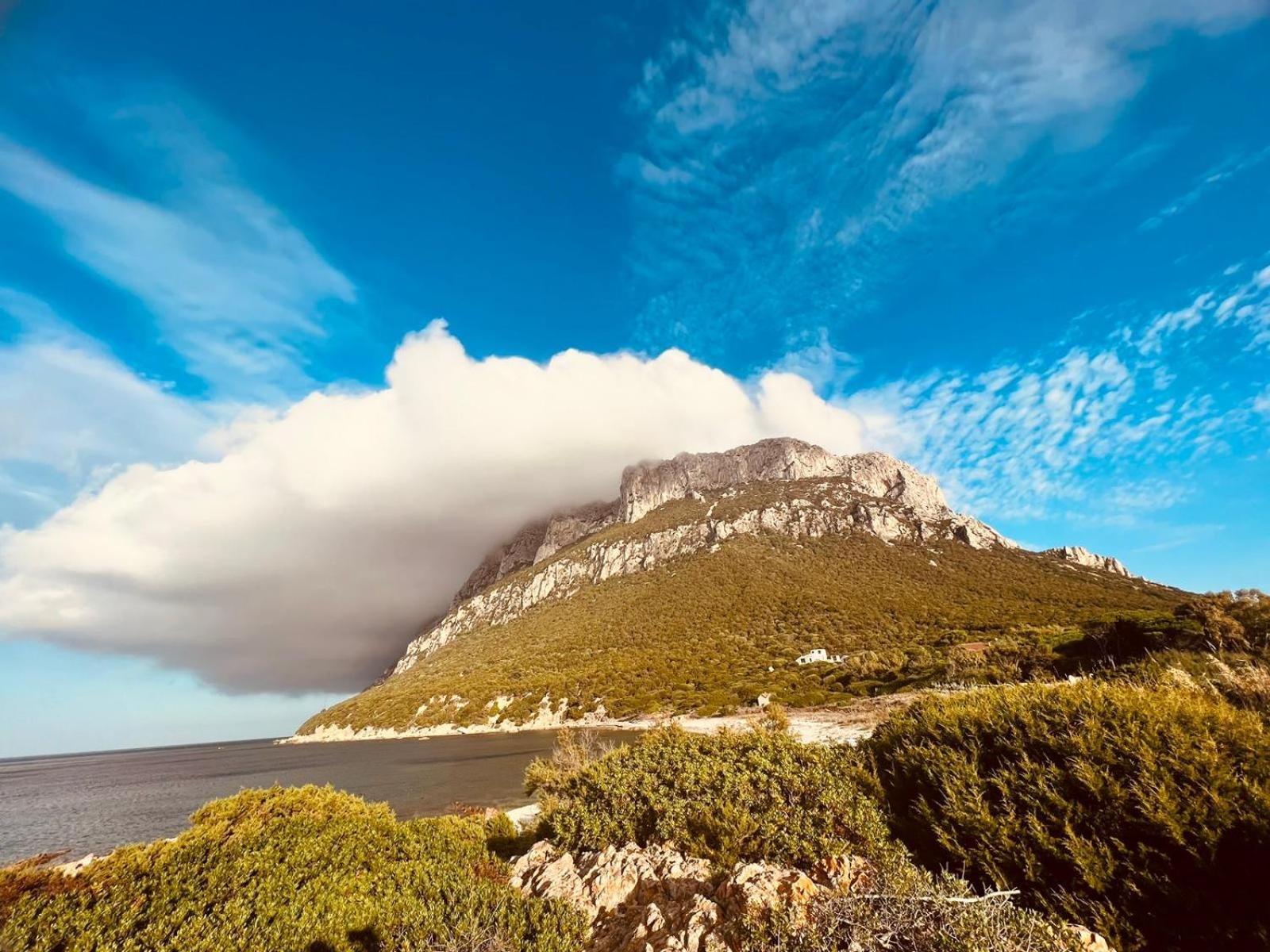 Appartamento Da Wanna Olbia Exterior foto