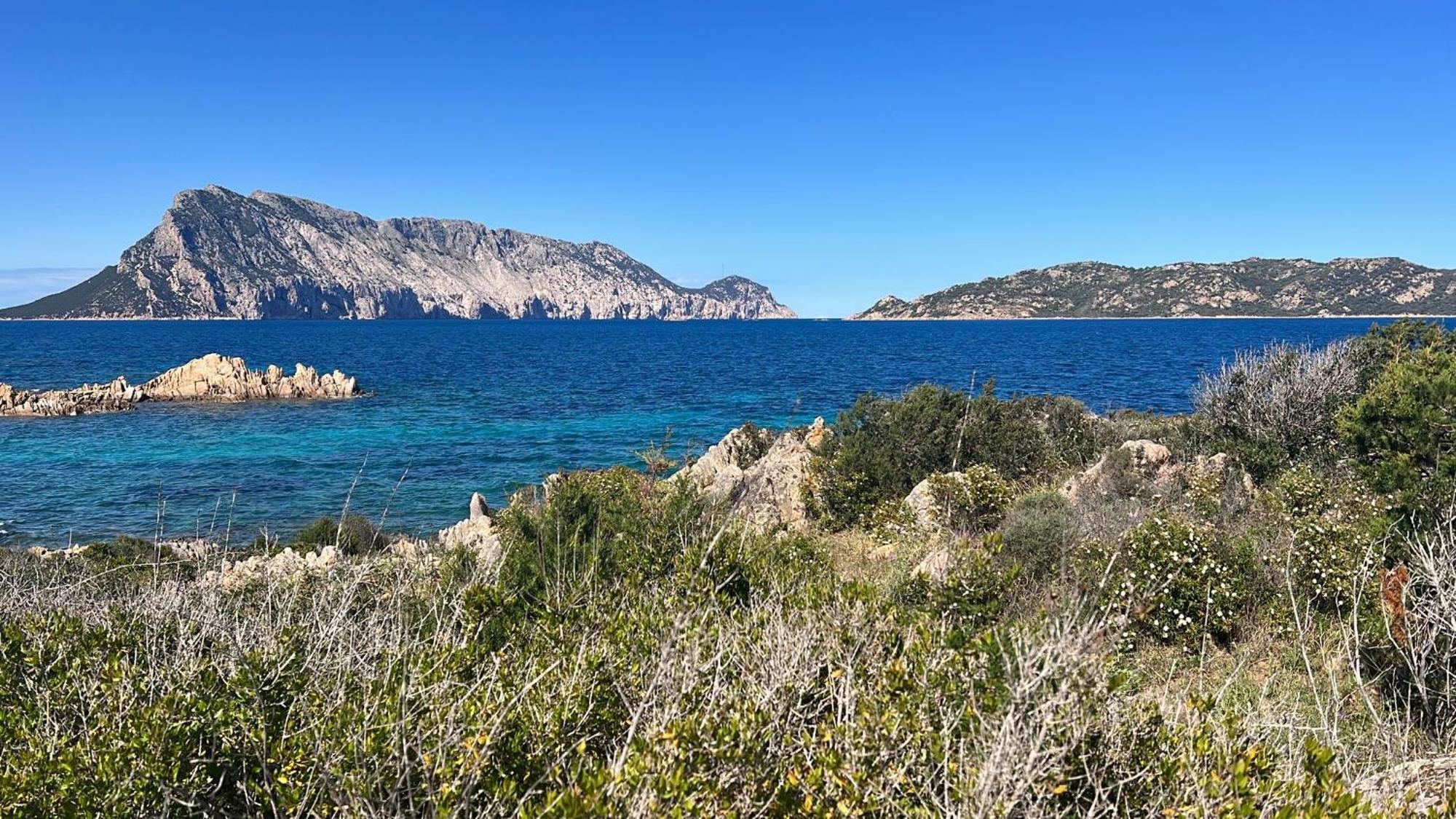 Appartamento Da Wanna Olbia Exterior foto